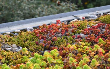 the cost of Shirlett green roof installation