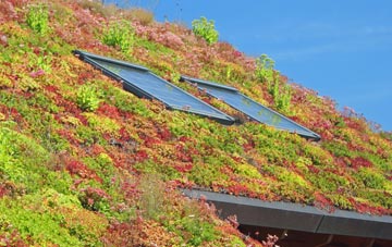 Shirlett living roof systems