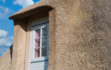 Shirlett thatch roof disadvantages